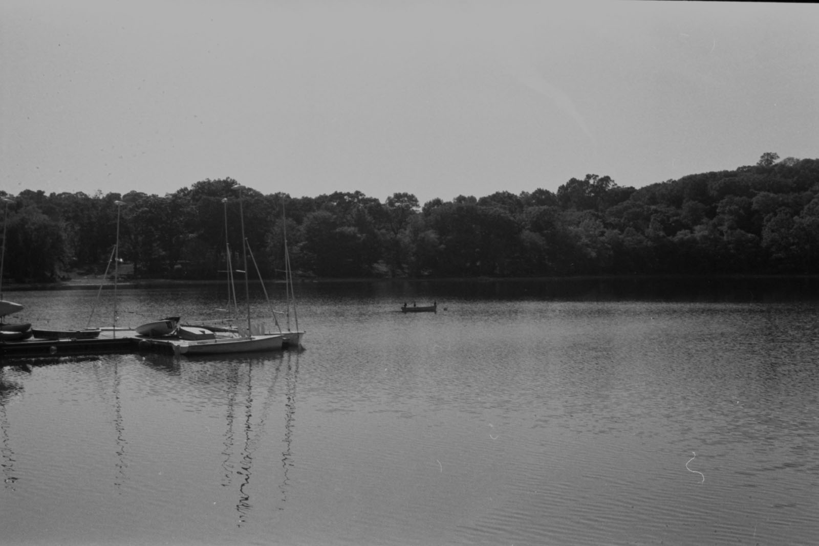 Film