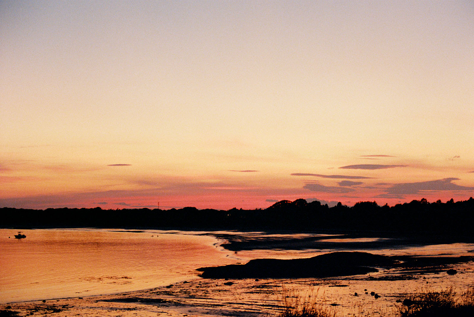 Film